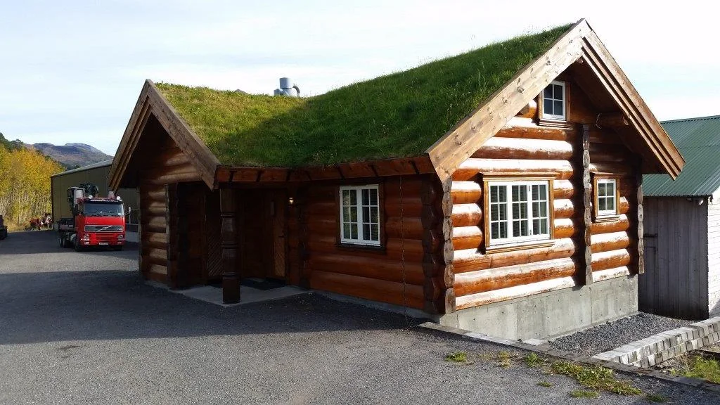 Laftebygg med torvtak